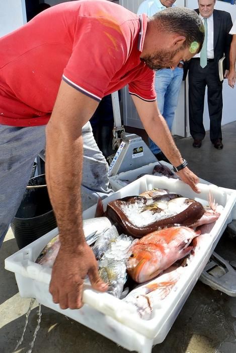 COFRADIAS PESCADORES AGAETE HERNANDEZ BENTO