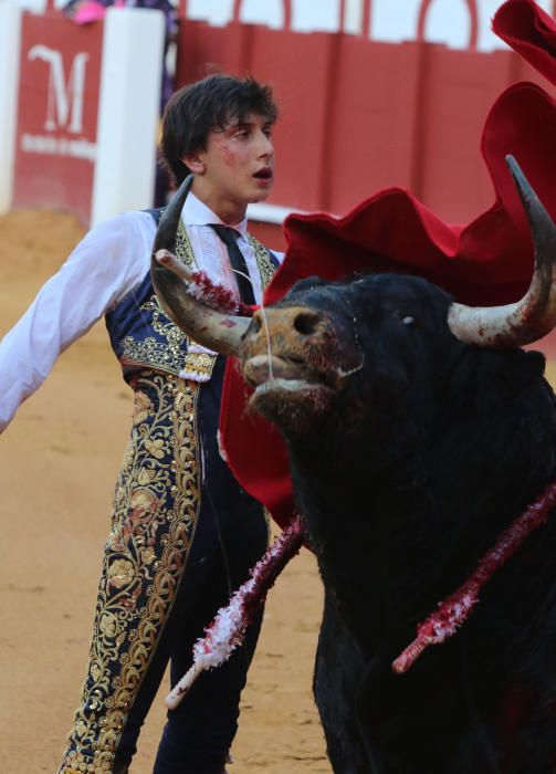 Morante de la Puebla, El Juli y Roca Rey, protagonistas del cartel del jueves en La Malagueta.