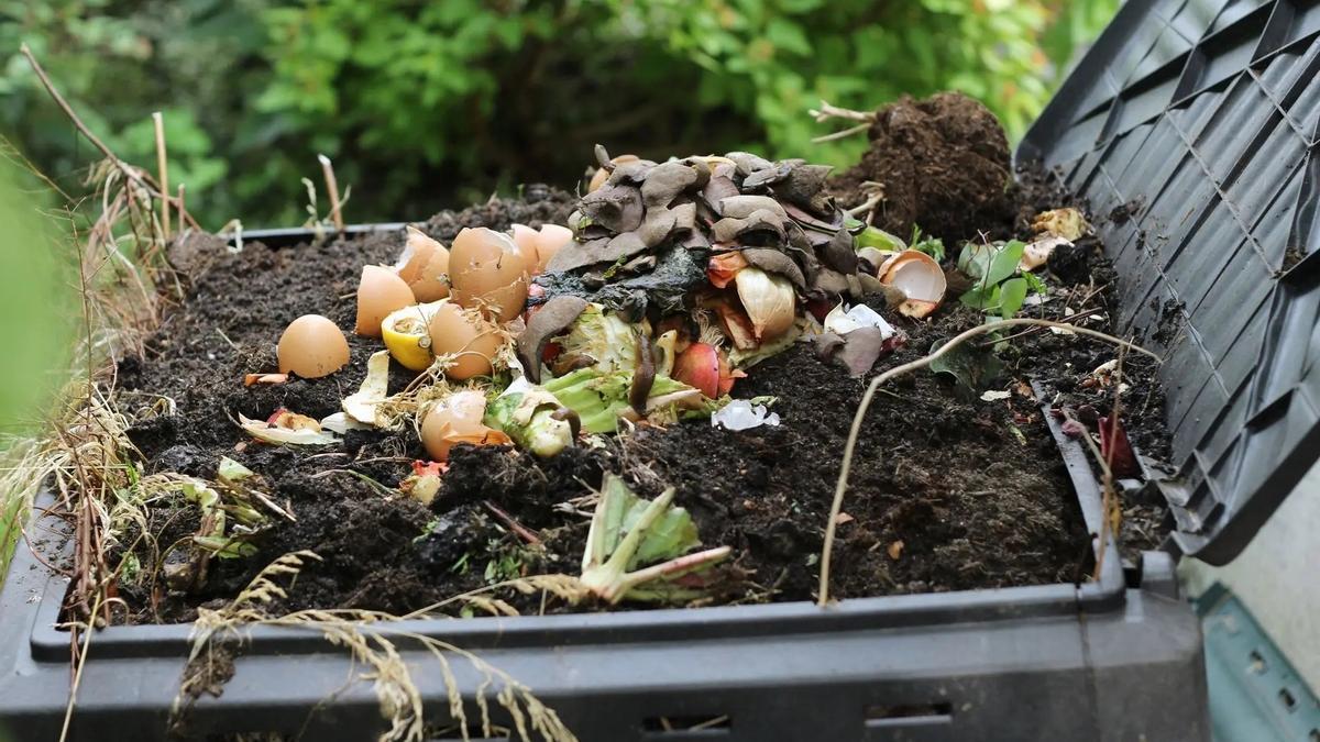 Cómo hacer compost casero en 7 sencillos pasos - Información