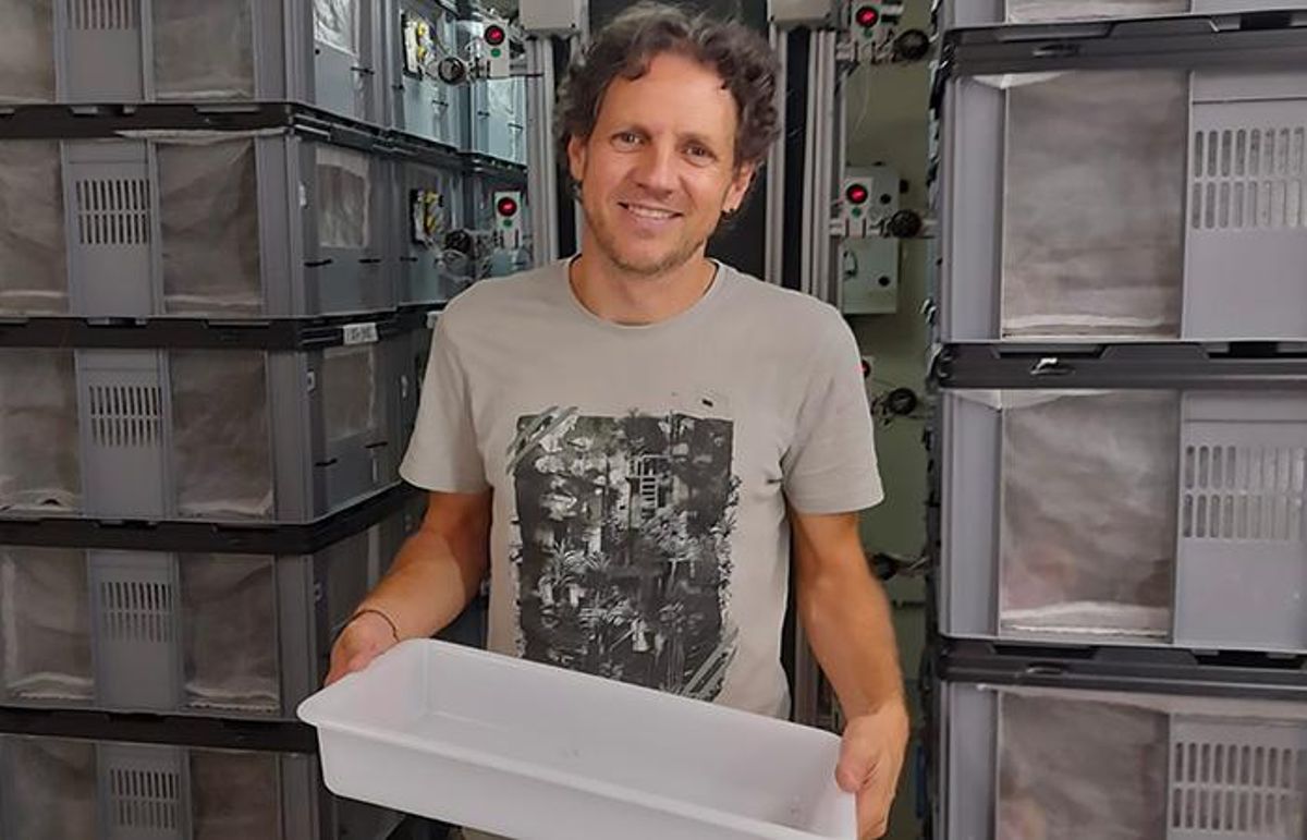 Carles Tur, autor del estudio