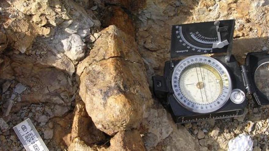 Una reina con el reloj roto