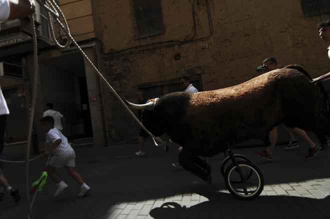 GALERÍA | La Escuela Taurina de Gente del Toro