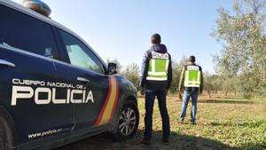 Archivo - Agentes de la Policía Nacional en una finca agrícola