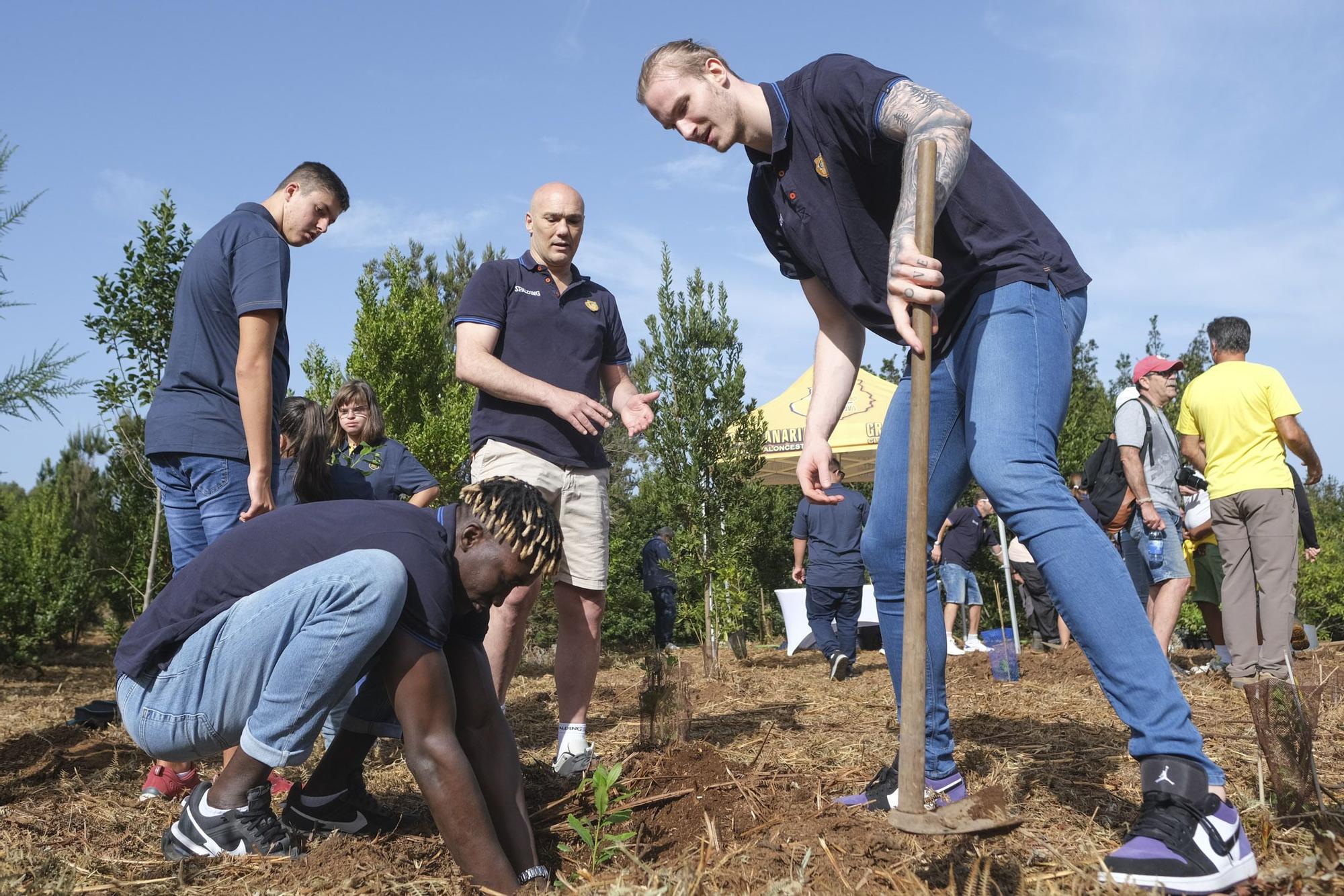 Reforestación Compromiso Granca