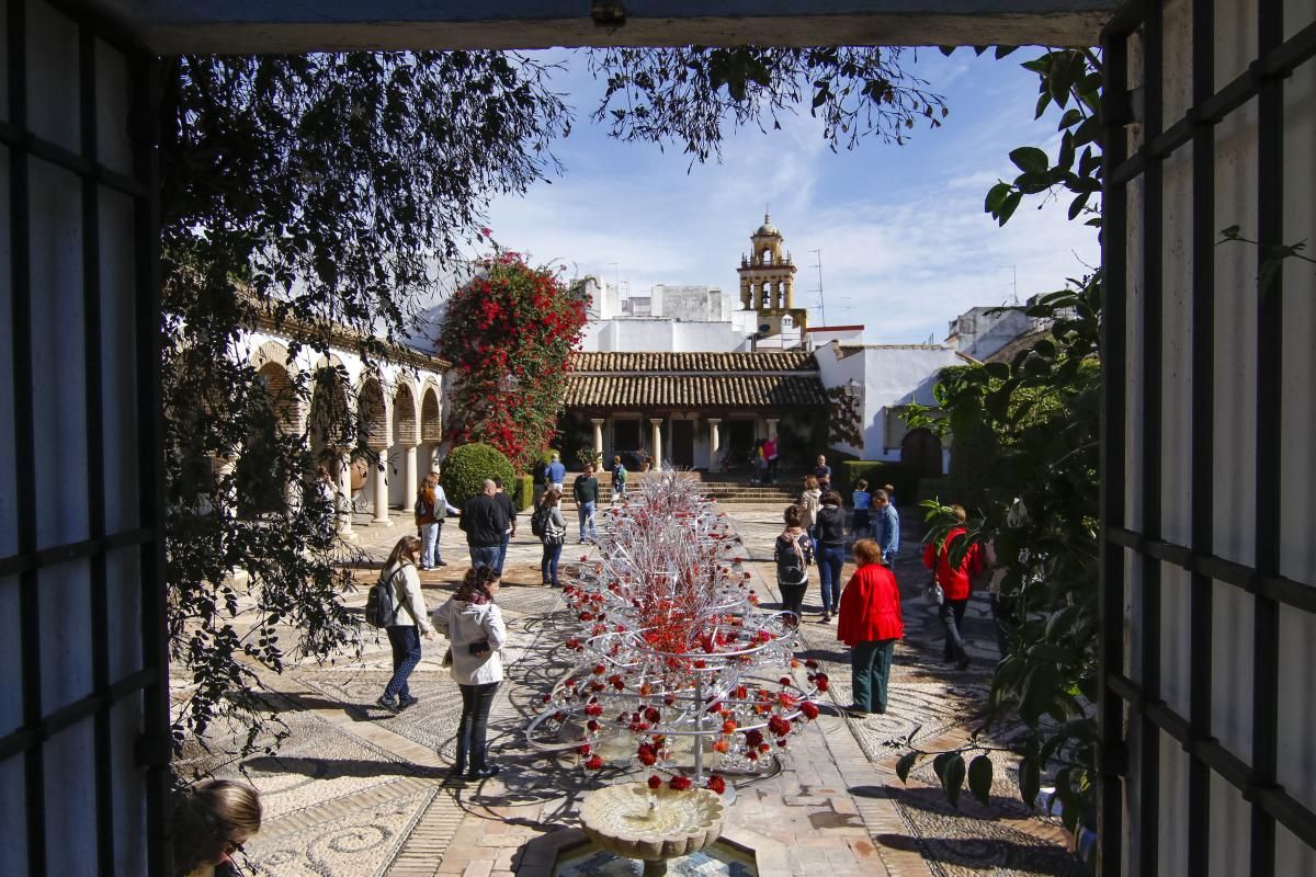 Las más bellas flores