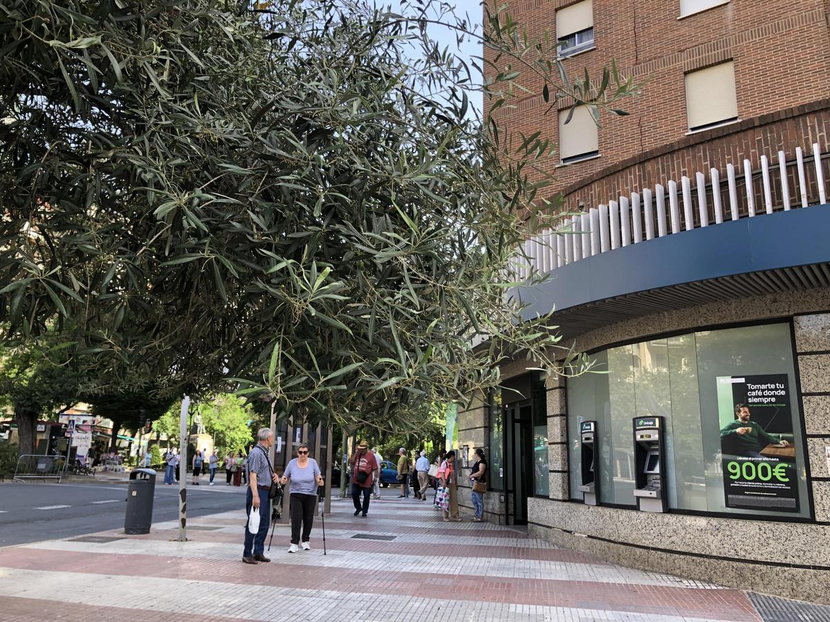 Fotogalería | El Edificio El Carmen de Cáceres