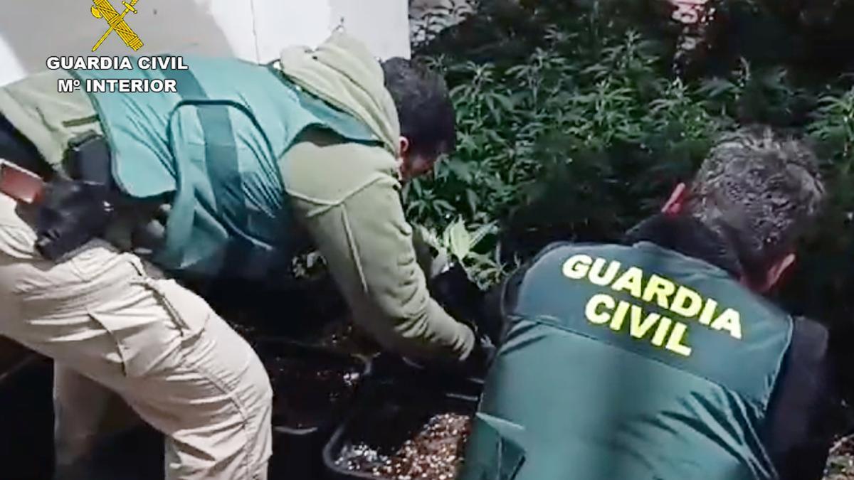 Dos guardia civiles en el invernadero de marihuana de Cieza.