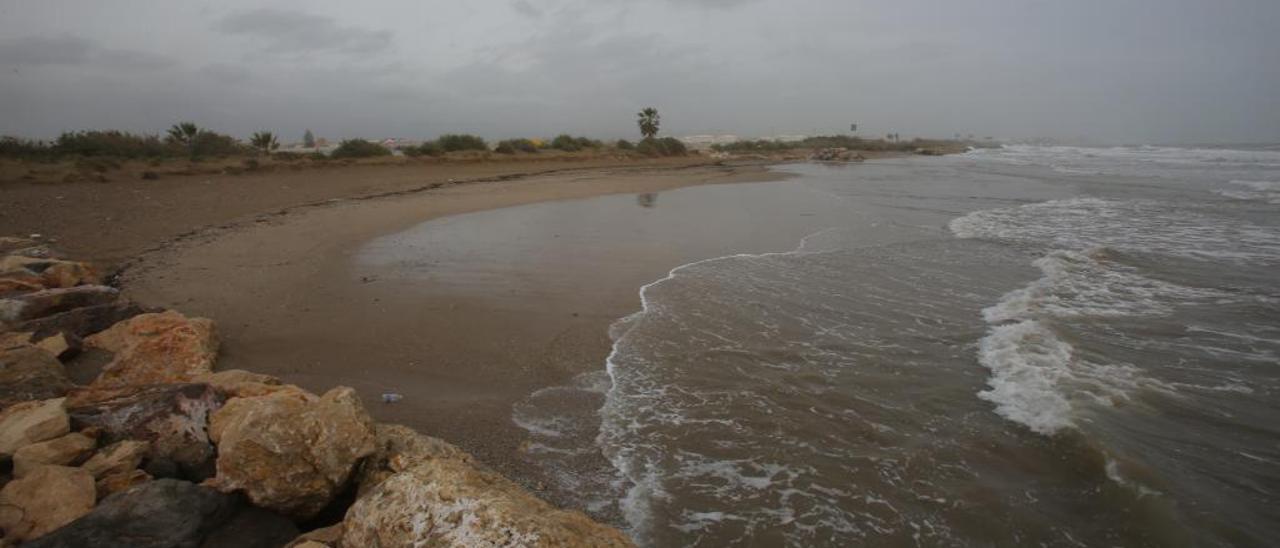 Situada junto a la playa de Meliana, el arenal y dunas de Foios ocupan unos 13.000 m2. La familia dice ser titular de 2.600 m2.