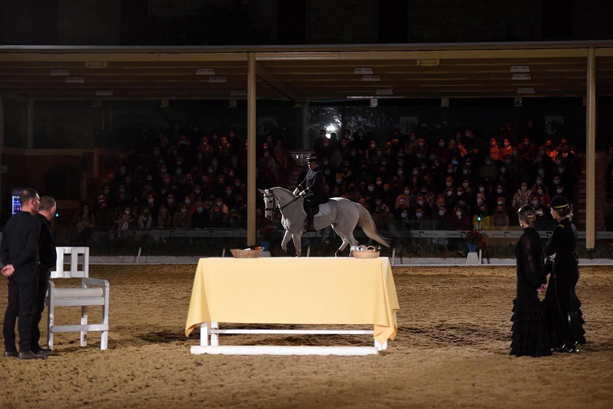 La escuela francesa de equitación Cadre Noir celebra en Córdoba el 25 aniversario de Cabalcor