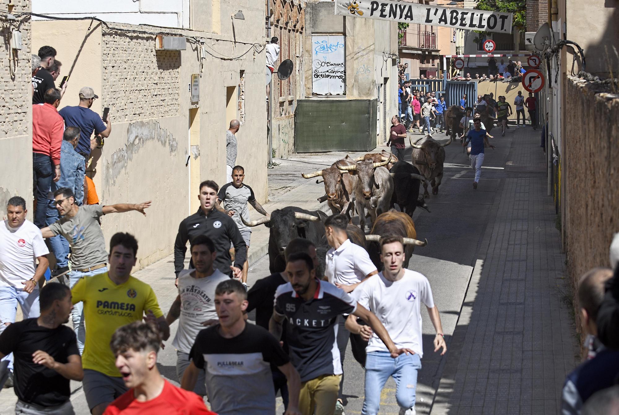 Las mejores imágenes de la jornada festiva en Vila-real