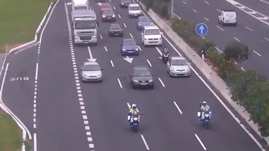 La Policía Local salva la vida a un gato en la Avenida Marítima