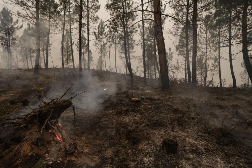 El suroccidente asturiano lucha contra las llamas