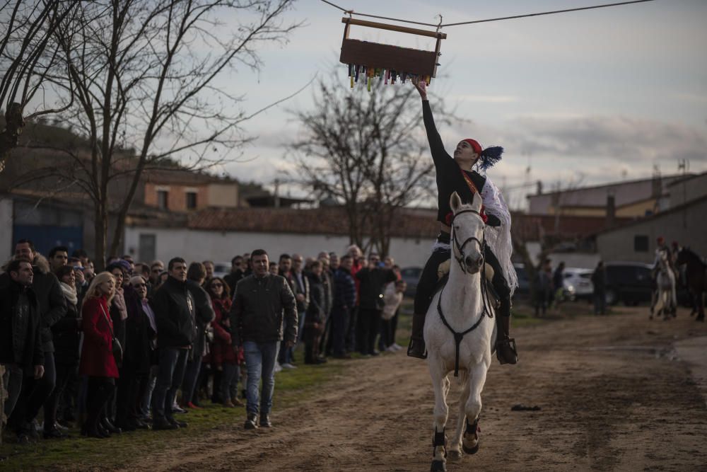 Carrera de cintas de Torres del Carrizal