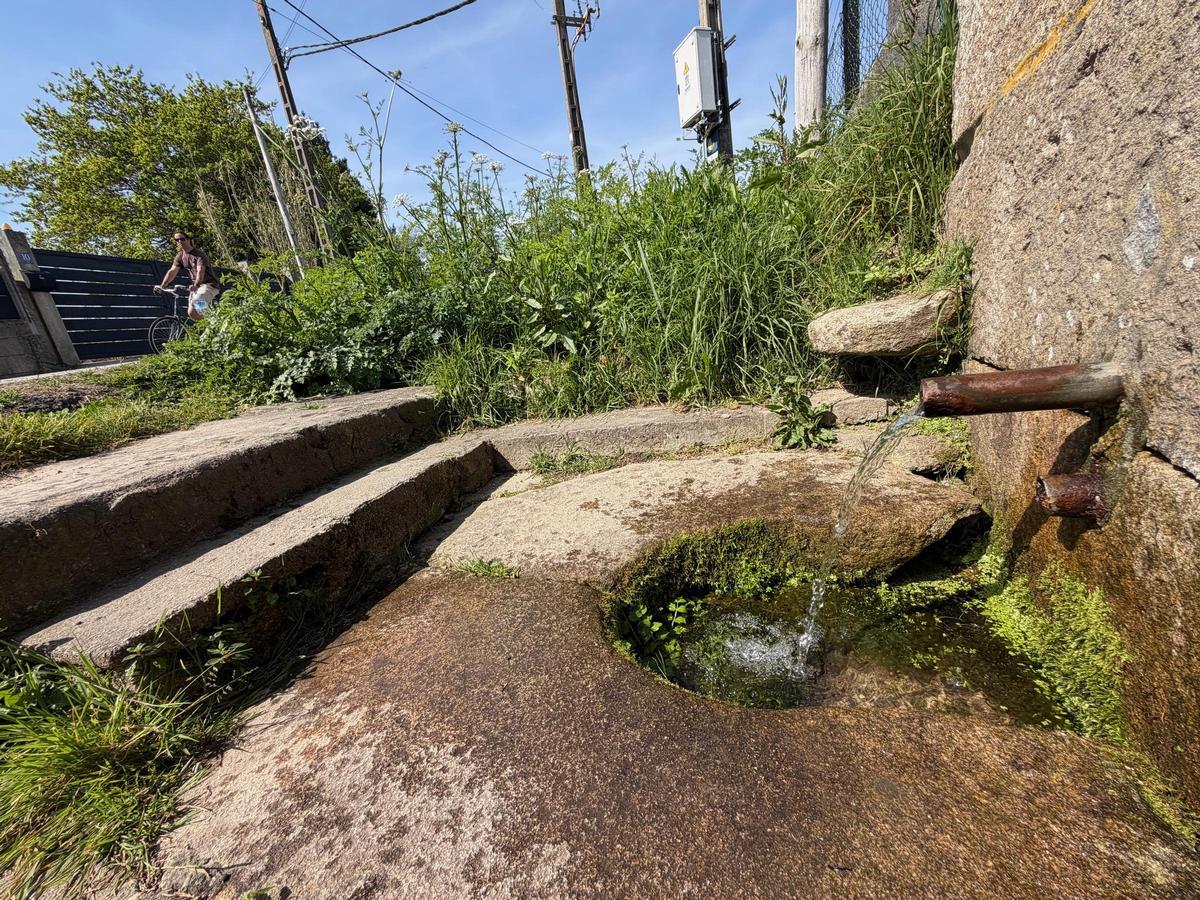 Fonte do Piñeiro, donde muchos vecinos acuden a aprovisionarse de agua, rodeada de maleza.