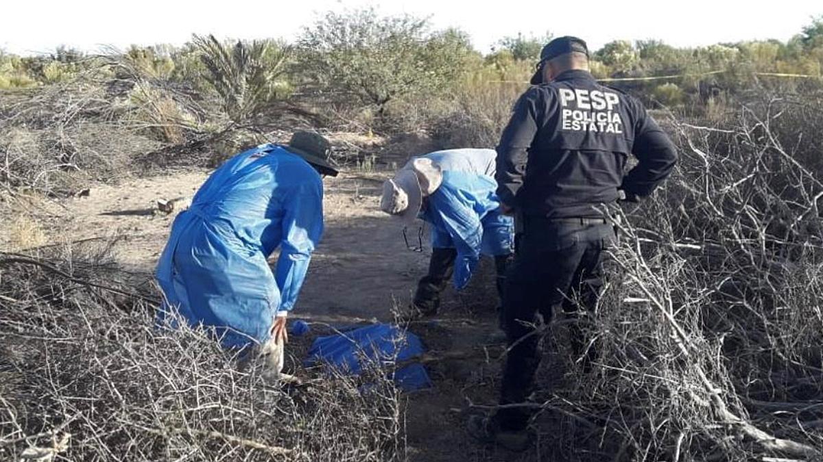 Agentes y forenses proceden a la identificación de los cuerpos encontrados en la fosa de Hermosilla.