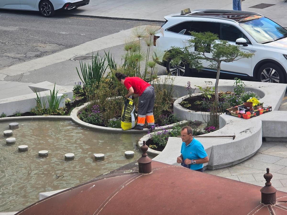 Los operarios municipales se encargan esta mañana de recuperar los deteriorados jardines de la peatonalizada calle de Arzobispo Lago, en Vilagarcía.