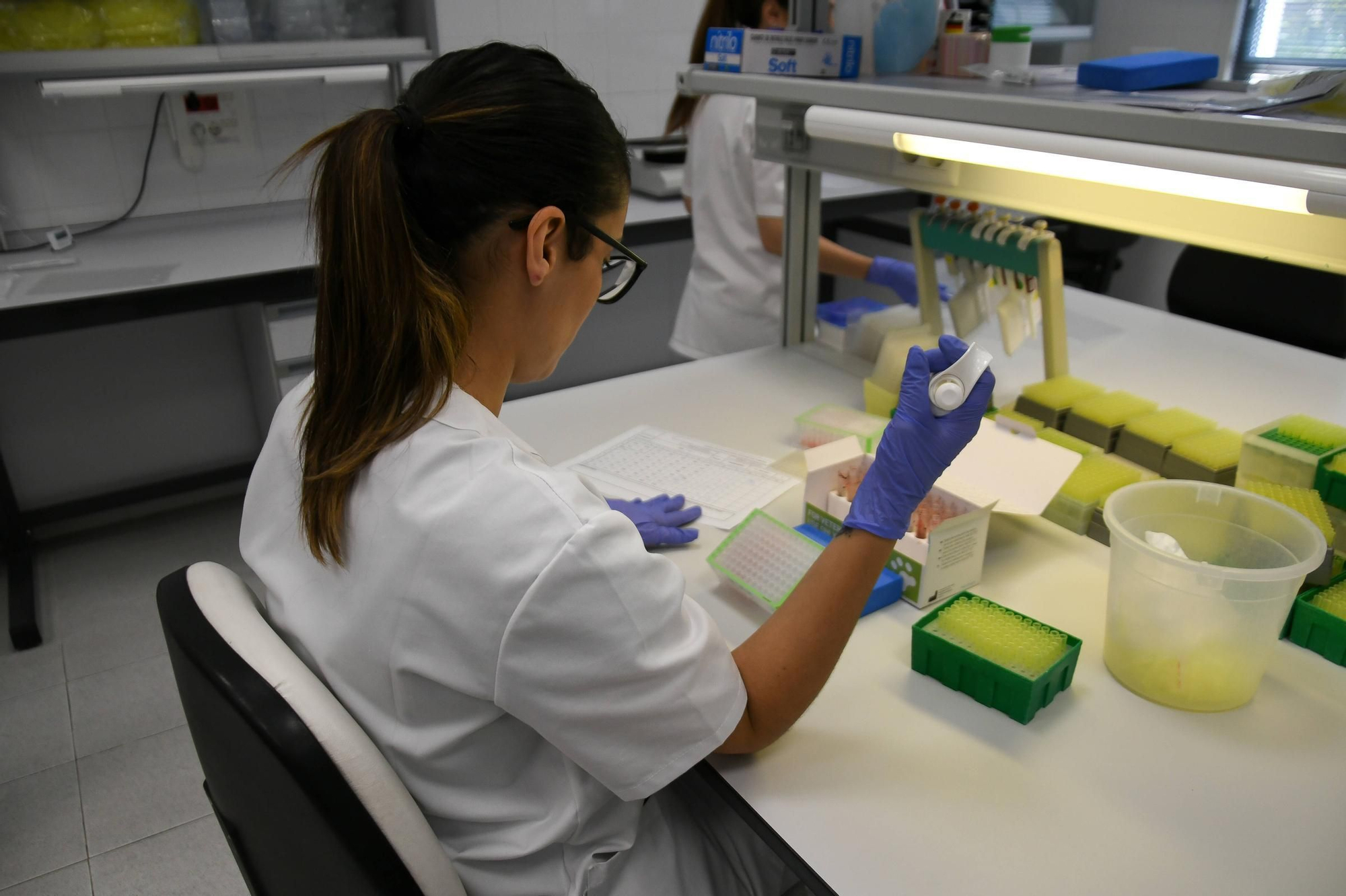 GALERÍA | Así trabaja el Laboratorio de Sanidad Animal de Zamora