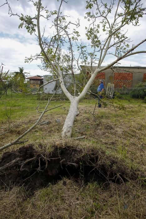 Los resultados del tornado en Ballota