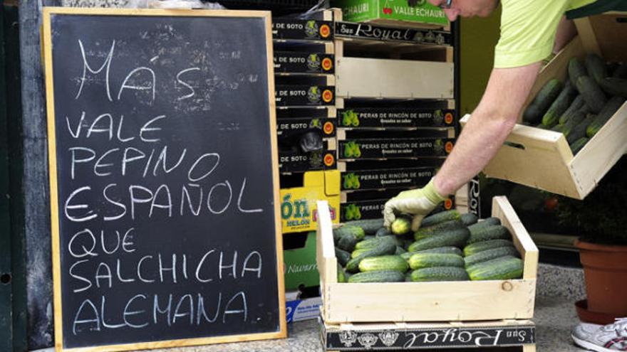 Reivindicació de la qualitat cogombre de l&#039;Estat en una fruiteria de Pamplona.