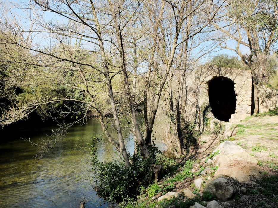 Els molins a tocar la Muga a Pont de Molins