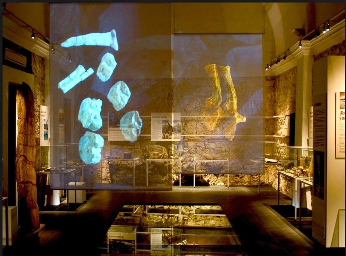 Museo Paleontológico de Alpuente