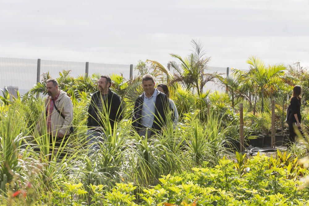 Vivero de Santa Cruz de Tenerife