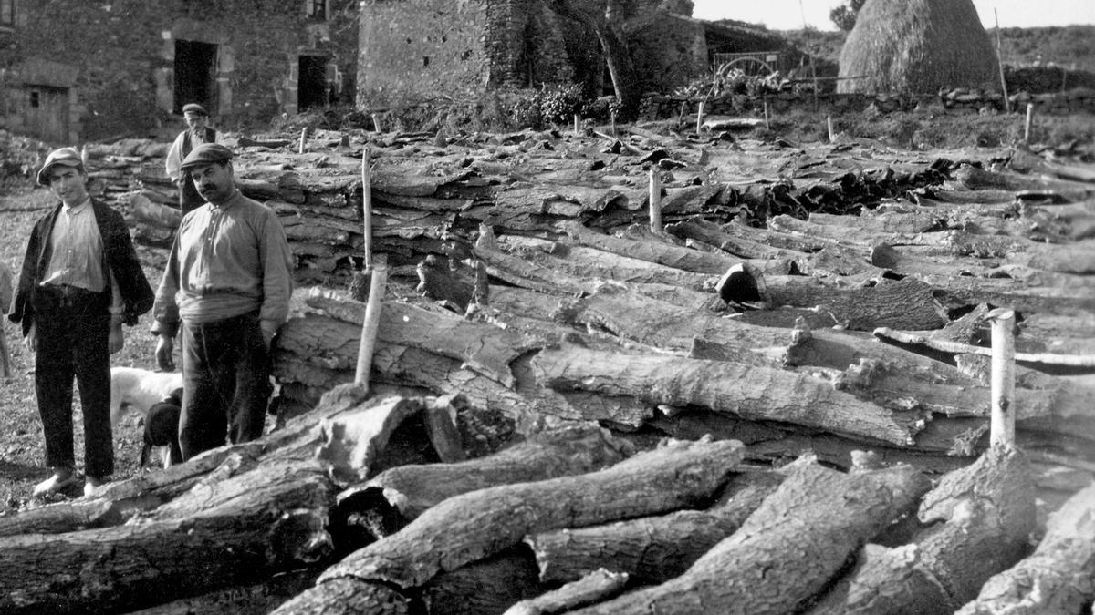 Rusquer al mas Sabater de Sant Cebrià dels Alls, als anys 1920.