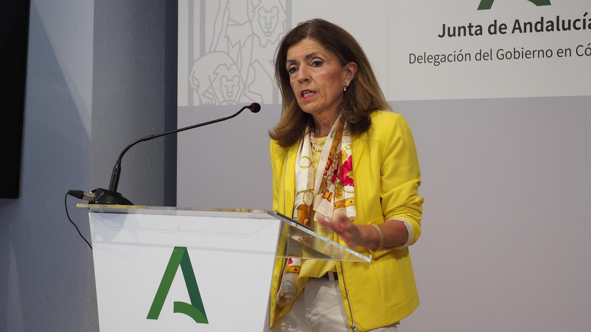 La delegada territorial de Salud, María Jesús Botella.