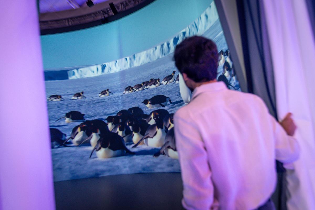 Llega Antarctica Experience,  exposición inmersiva en la Cúpula Arenas