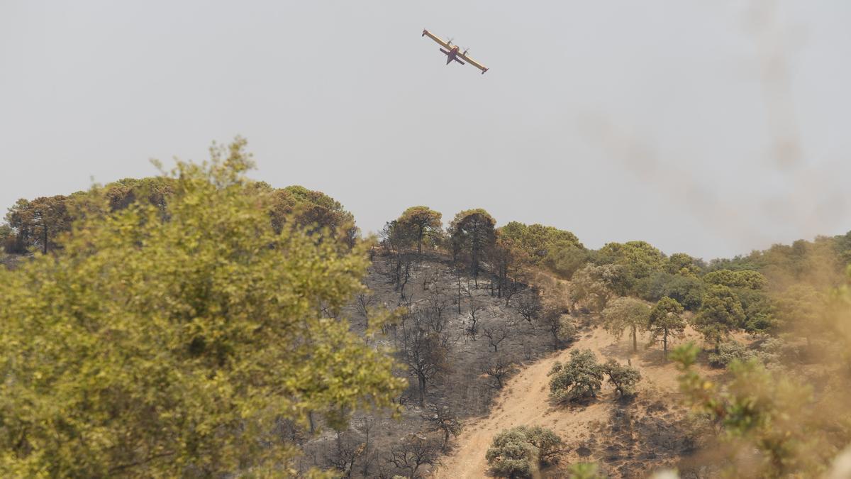 Un incendio en Sierra Bermeja provoca el desalojo de un millar personas en Estepona, Jubrique y Genalguacil