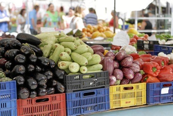 Volkswirtschaftlich spielt Mallorcas Landwirtschaft kaum noch eine Rolle – ohne sie aber wäre die Insel wesentlich ärmer. Warum das so ist – und wie wir sie alle unterstützen könnten.