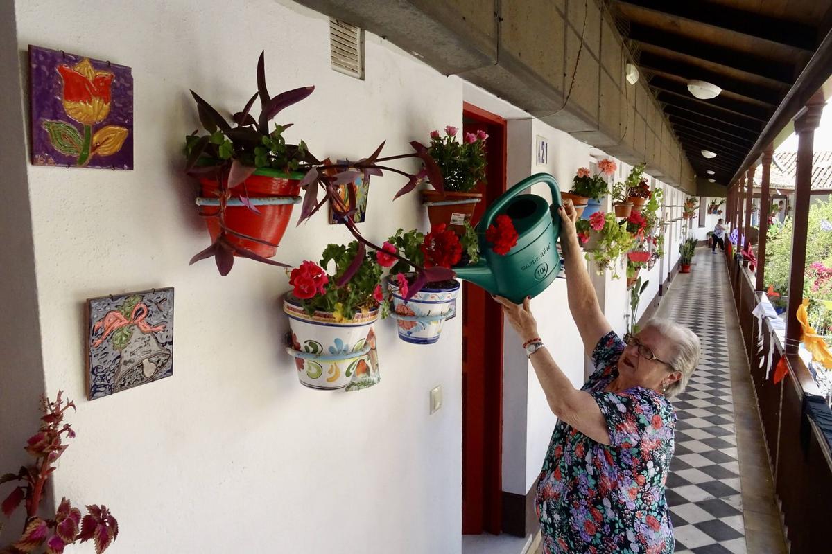 Los corralones de La Trinidad y El Perchel abren sus puertas en esta XX Semana Popular de los Corralones