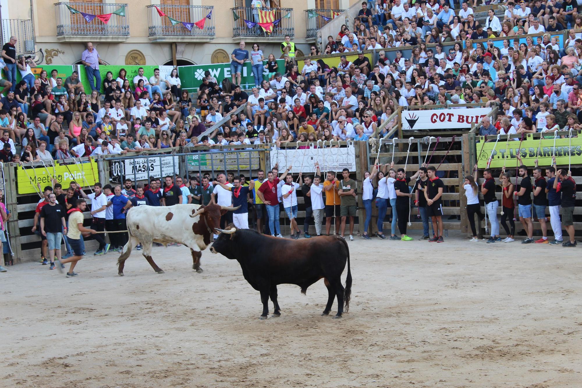 Correu bou