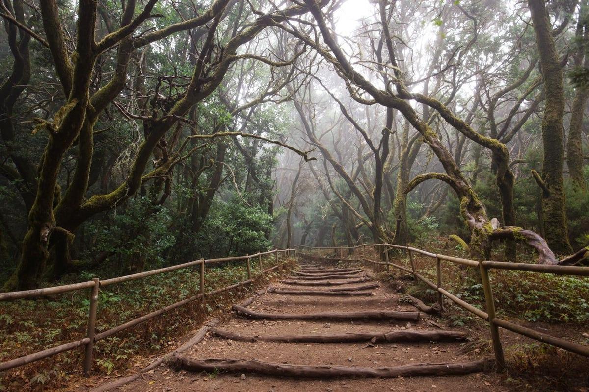 La Gomera, Islas Canarias, Garajonay