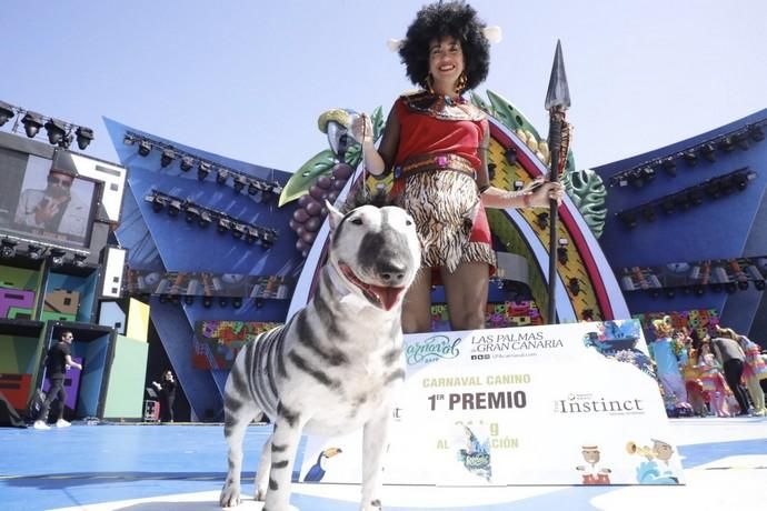 Carnaval Las Palmas 2019 | Carnaval canino