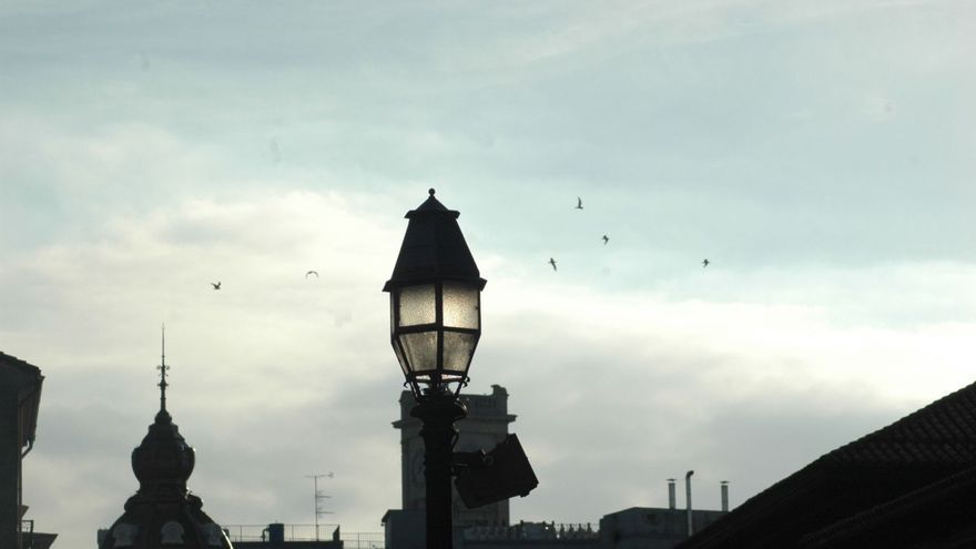 Varias gaviotas sobrevuelan el cielo de Oviedo.