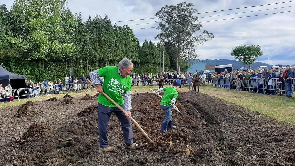 Pastoreo de rebaños con perros y exhibición de labranza tradicional para una tarde que homenajeó al campo: "Llanera sigue adelante"