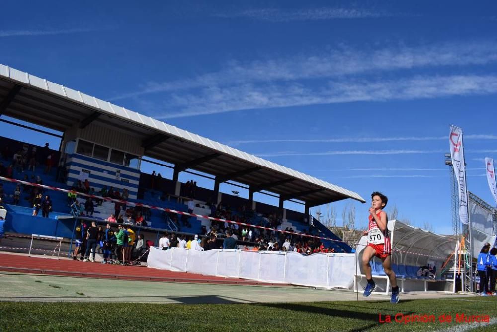 Cross de Jumilla 5