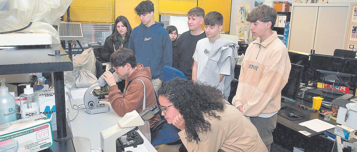 Un grupo de alumnos experimenta con instrumental de uno de los laboratorios del campus.