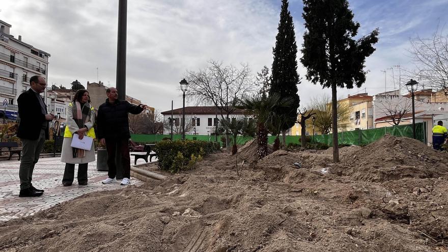 Fresnos, carrascas, tilos... hasta 14 ejemplares para reponer La Explanada de Petrer