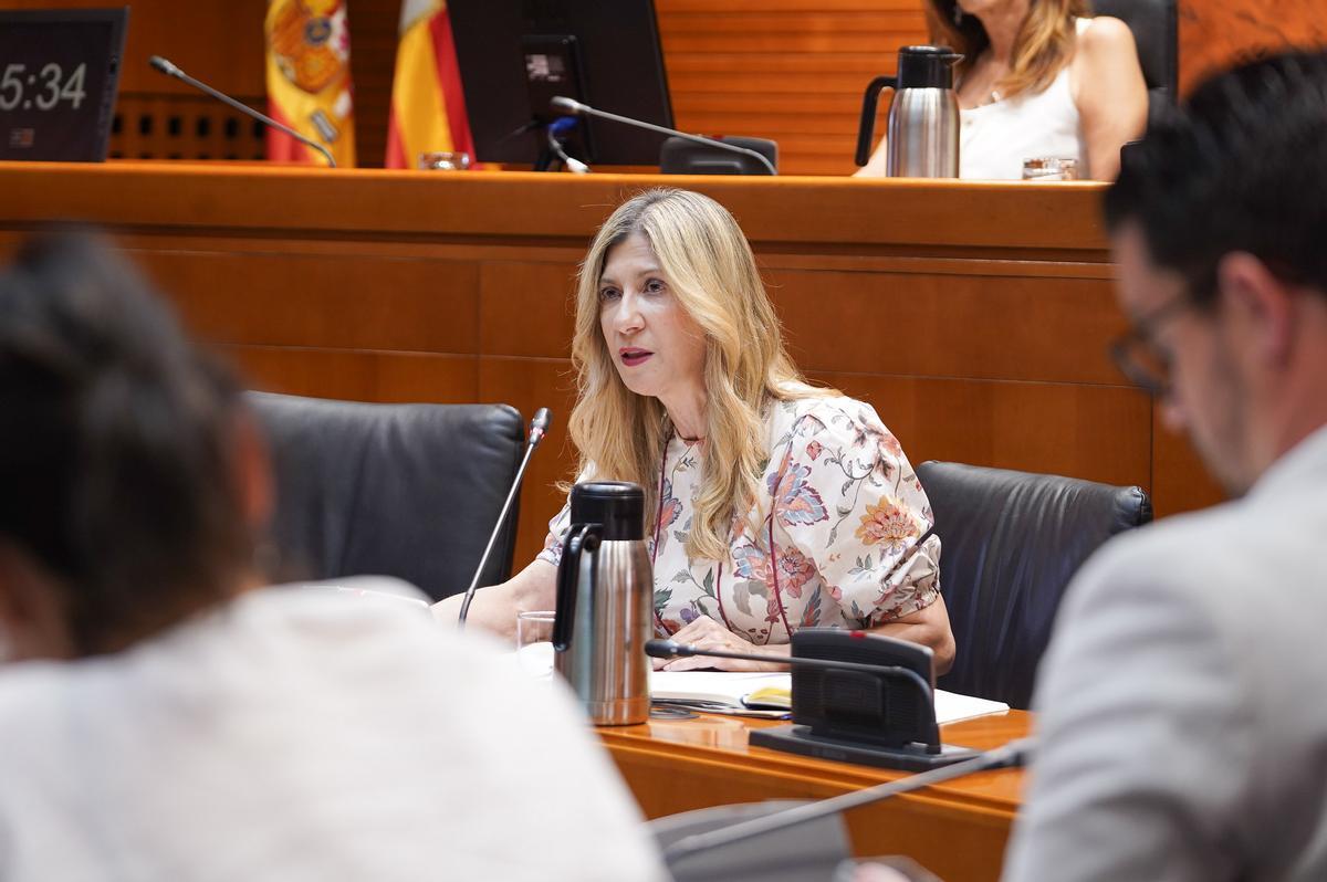 Mar Vaquero, en la comparecencia de las Cortes.