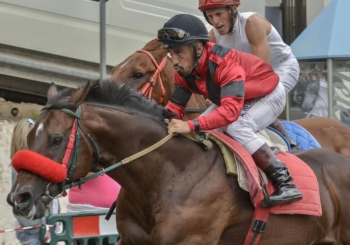 16/09/2017 TEROR. Carrera de caballos en la Avda. del Cabildo en Teror.  FOTO: J.PÉREZ CURBELO