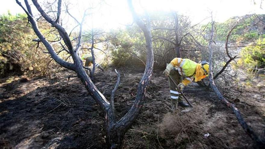 Los bomberos pudieron controlar de inmediato las llamas en la pinada de La Marina