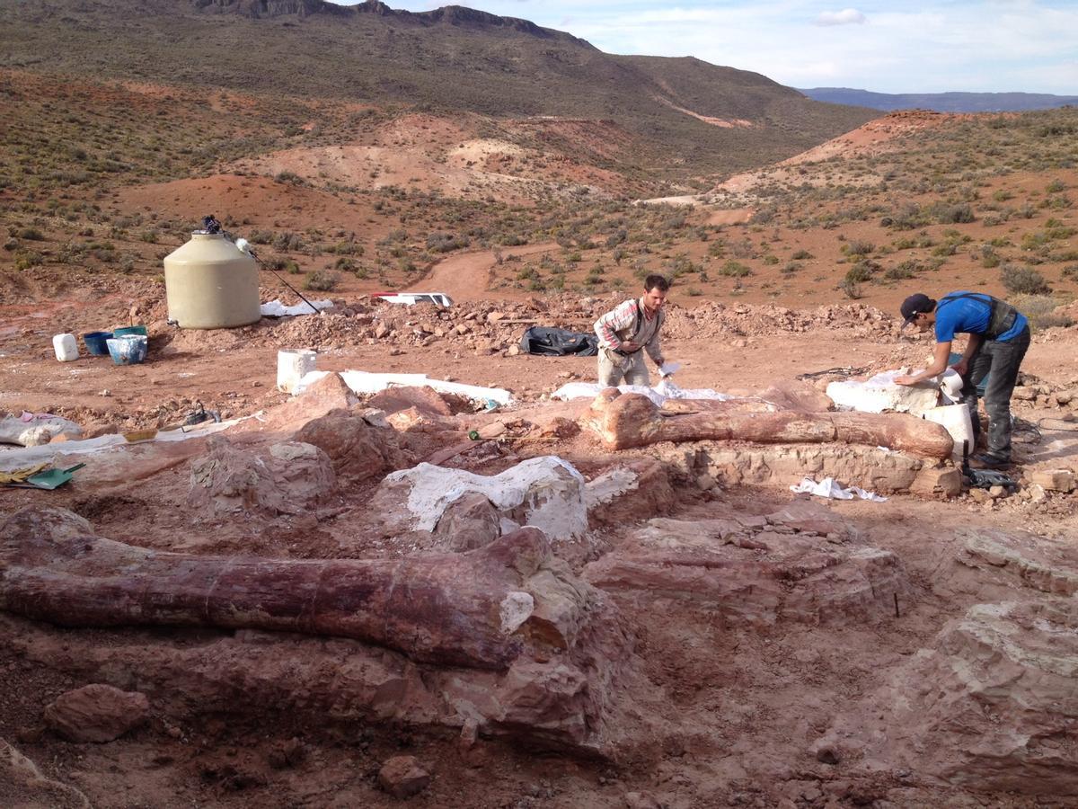 Excavación del MEF en la Patagonia.