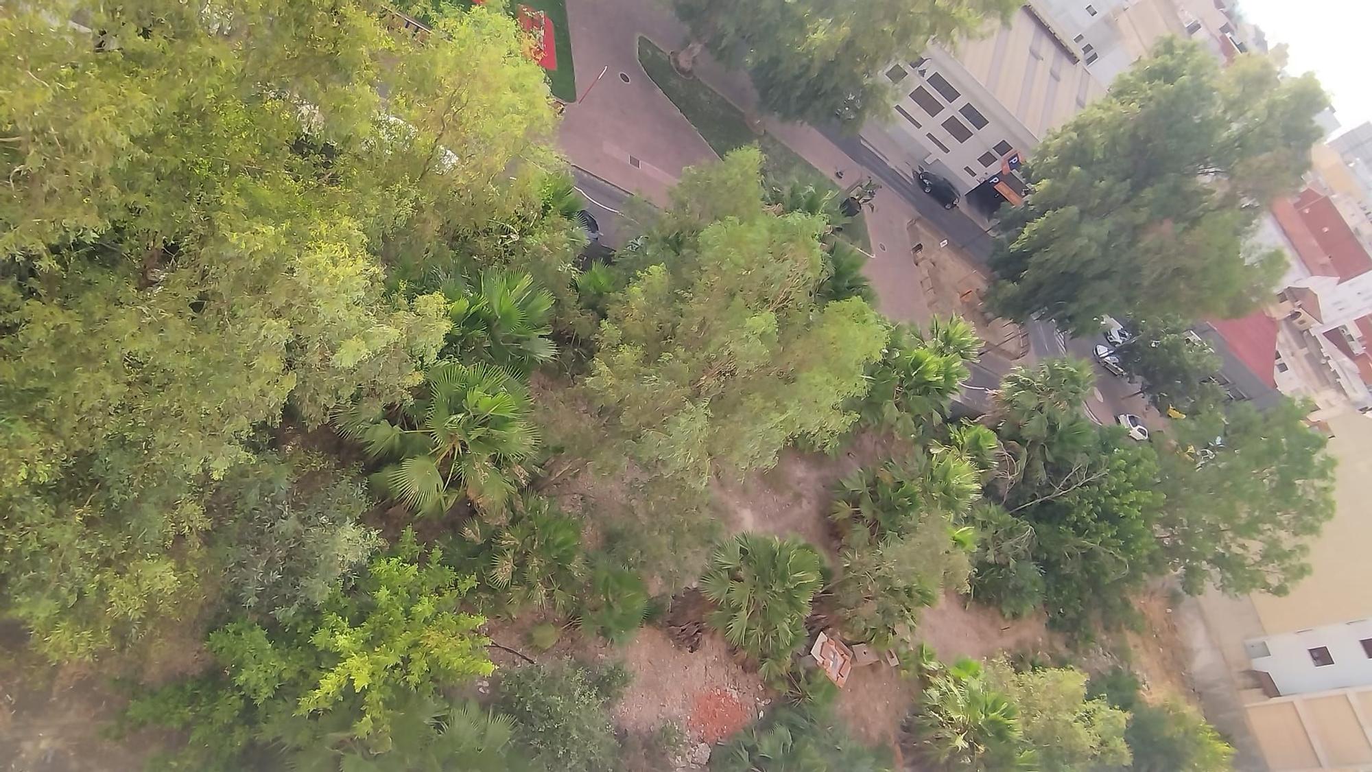 El "solar-selva" de la Plaza Primero de Mayo de Alzira ha provocado numerosas quejas de los vecinos.
