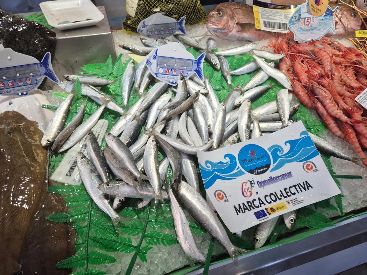 FOTOS | Sardinas en una pescadería de Mallorca. FOTOS | Sardinas en una pescadería de Mallorca.