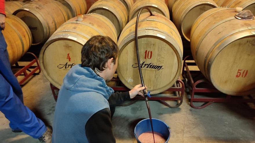La Vedruna d’Artés tindrà el curs que ve un grau superior en vitivinicultura