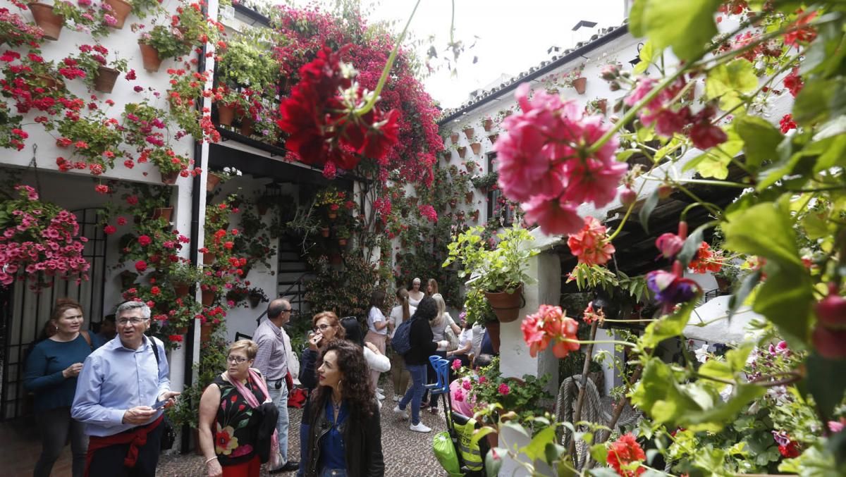 Fotogalería / Una multitud visita los patios el último sábado de la fiesta