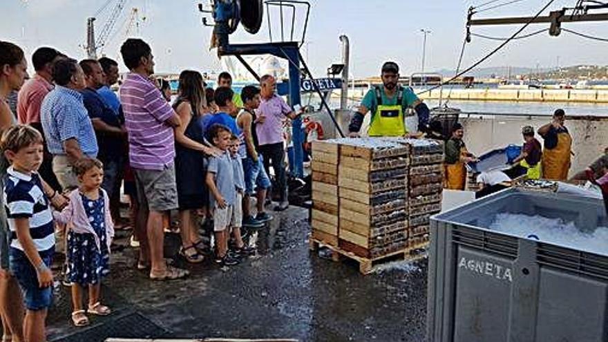 La captura de peix blau als ports catalans ha caigut en picat.