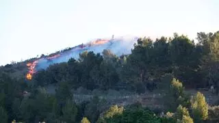 Estabilitzat l’incendi que crema a la Selva del Camp amb unes 20 hectàrees afectades